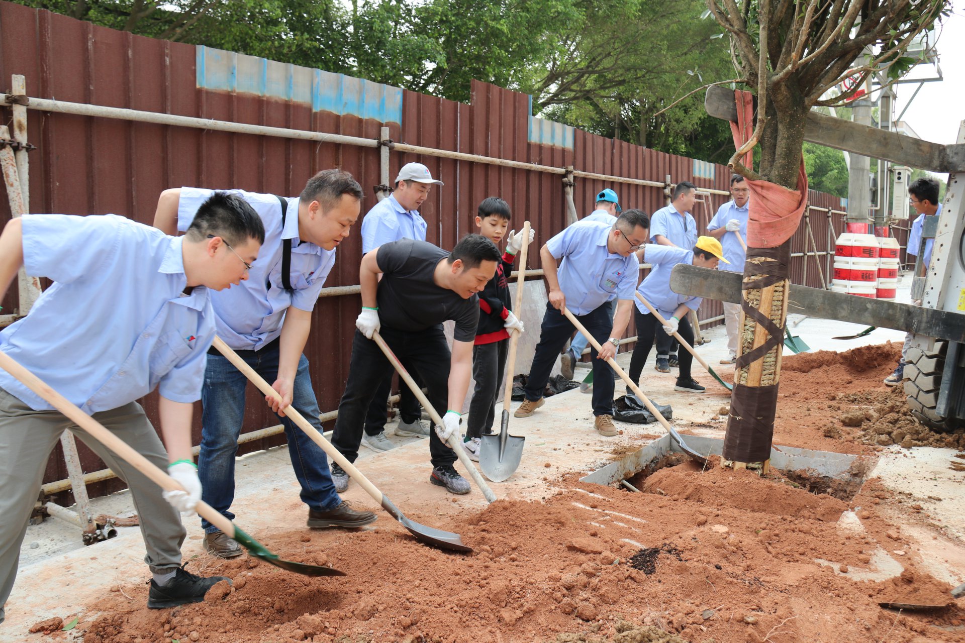 植樹節(jié)活動